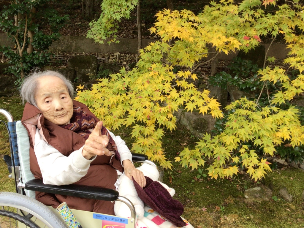 12月　たつの紅葉ツアー